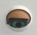 Interaktives Mikroprozessor gesteuertes Objekt "Augen auf"